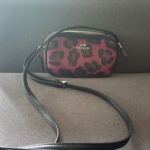 Mini Coach side body